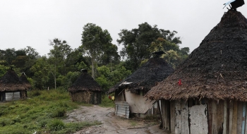 Ataque a tiros em aldeia yanomami mata criança e deixa cinco feridos